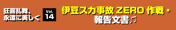 「伊豆スカ事故ＺＥＲＯ作戦・報告文書♪」