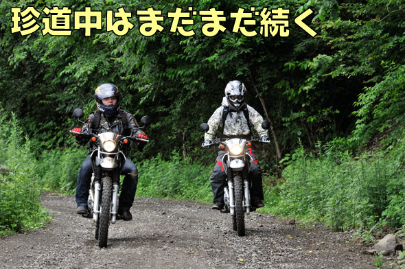 珍道中はまだ続く
