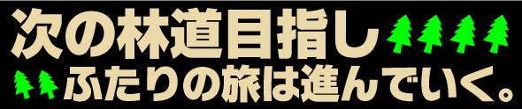 次の林道を目指して、ふたりの旅は進んで行く