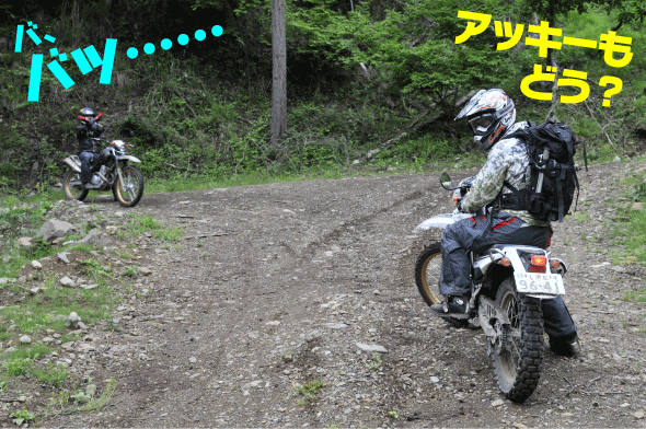 中津川林道