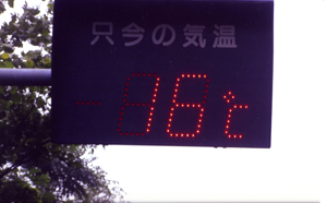 峠の気温は、なんと16度。メッシュジャケットの上にカッパじゃ寒いハズ!!