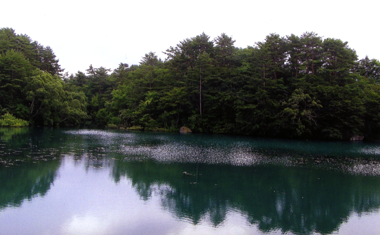 五色沼。ここはやっぱり秋にもう一度来てゆっくり歩いて回ってみたいな