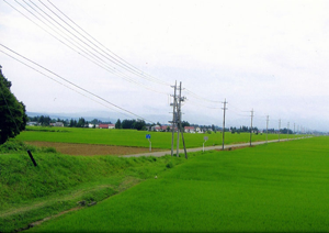 これぞ日本の原風景ってカンジ!?　心が和みます