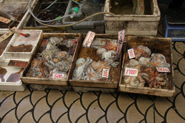 全長350mに及ぶ魚の棚商店街には、明石漁港で水揚げされた新鮮な魚介類を並べた店が多い。中でも名産となっているタコや鯛が目立つ。魚の棚（うおんたな）の由来は、棚板の上に魚を並べて売る様子からだとか。