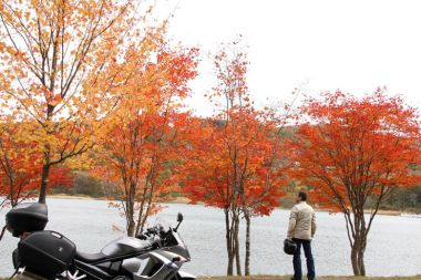 紅葉と黄葉の競演に思わず引き返してみる。夏、足こぎスワンで賑わう湖面も冬の到来を待つかのような静かさだった。
