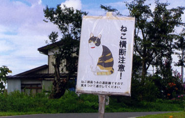 小林一茶記念館の館長、みう様のお通りだい。