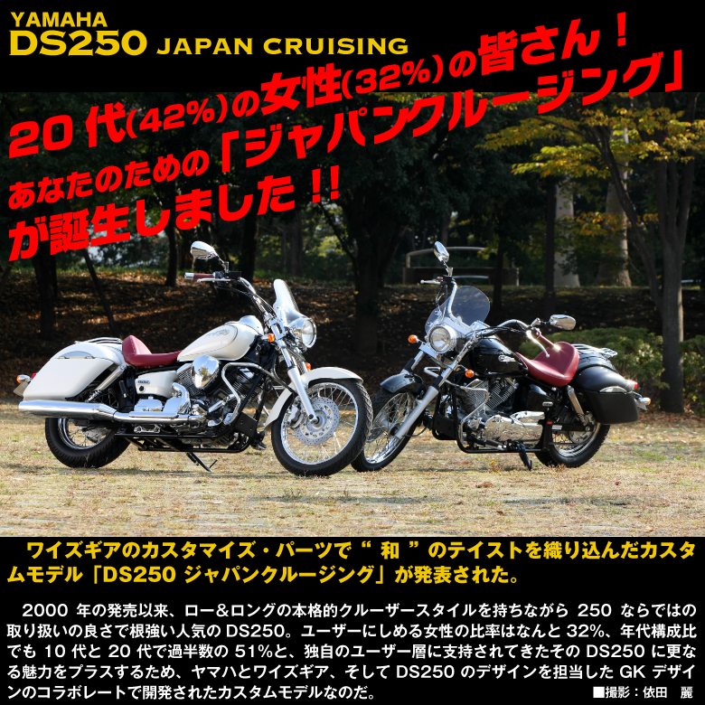 DS250JAPAN CRUISING Title