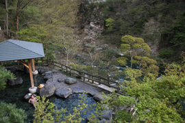 湯野上温泉旅館「新湯」さんの源泉掛け流し露天風呂にて。真横を阿賀川（大川）が流れるロケーションといい、無事走った後の湯は最高に気持ちイイ！　女中さんの話によるとこの近辺の桜はつぼみを鳥に食べられ、満開にならなかったとか。