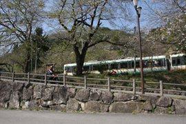 会津鉄道の湯野上温泉駅にて。たまたま２両編成の列車に遭遇しました。車体に描かれているのは会津地方の郷土玩具、首をフリフリする牛「赤べこ」。つまり、KTMとは縁ある「レッドブル」の親戚ってことですか!?