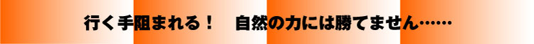 行く手阻まれる！自然の力には勝てません