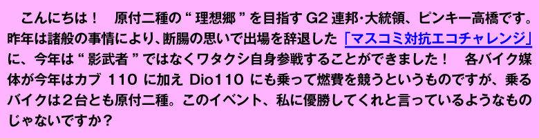 祖国の威信にかけて戦ったけれど……