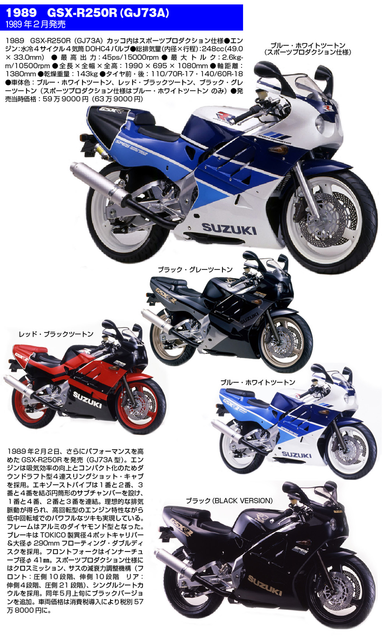 GSX-R250大全3