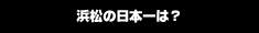 浜松の日本一は