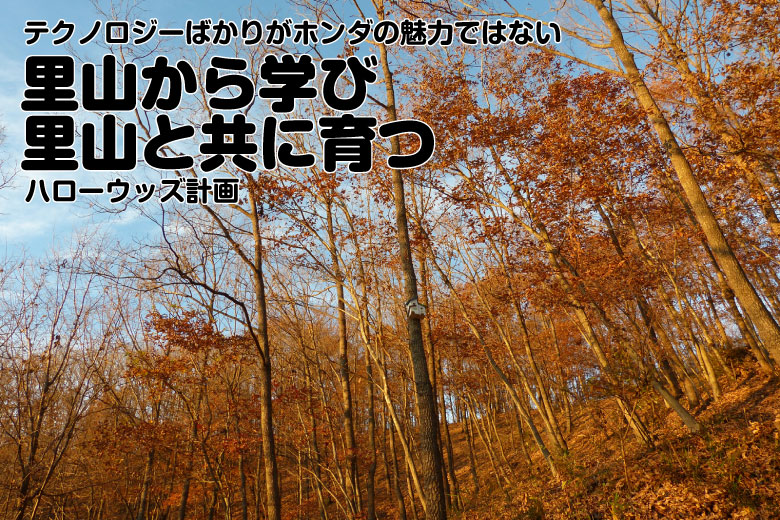 ハローウッズ