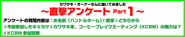 カワサキ・オーナーさんに聞いてみました～直撃アンケートPart1～