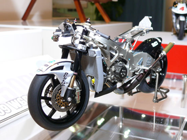 RS250RW　2009　WGP250 CHAMPION