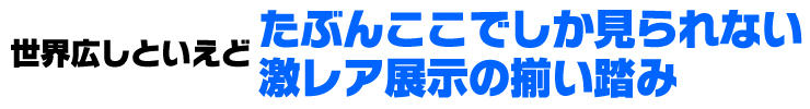 多分ここでしか見られない!? スーパー激レア展示