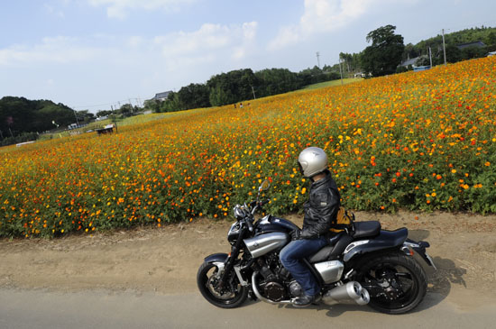 お花畑とVMAX