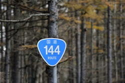 標識その２。逆おにぎり形の道路標識は国道を表しますね。で、この国道は144号線ですよ～、と教えてくれる親切な標識。