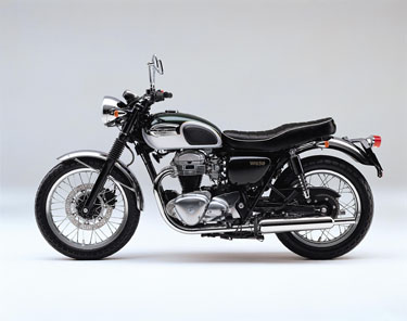 メタリックダークグリーン×ギャラクシーシルバーTYPE2