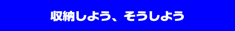 収納しよう、そうしよう。