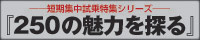 短期連載試乗特集シリーズ『250の魅力を探る』