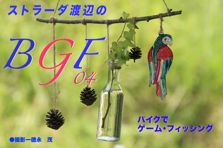 ストラーダ渡辺のBGF4