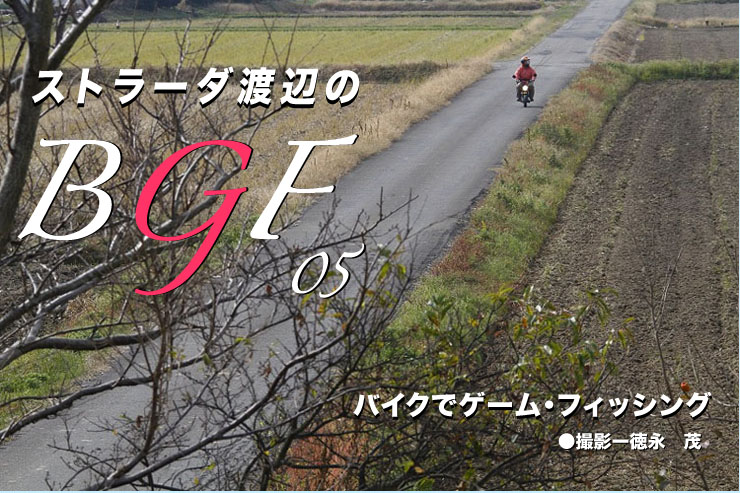 ストラーダ渡辺のBGF5