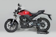 nitron01s